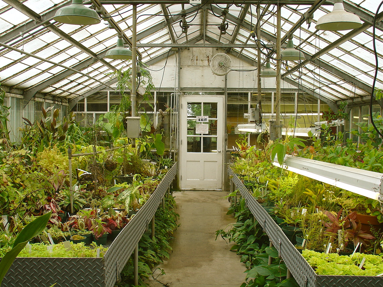 Griffintown Greenhouse